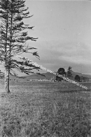 RURAL SCENE WITH TREE